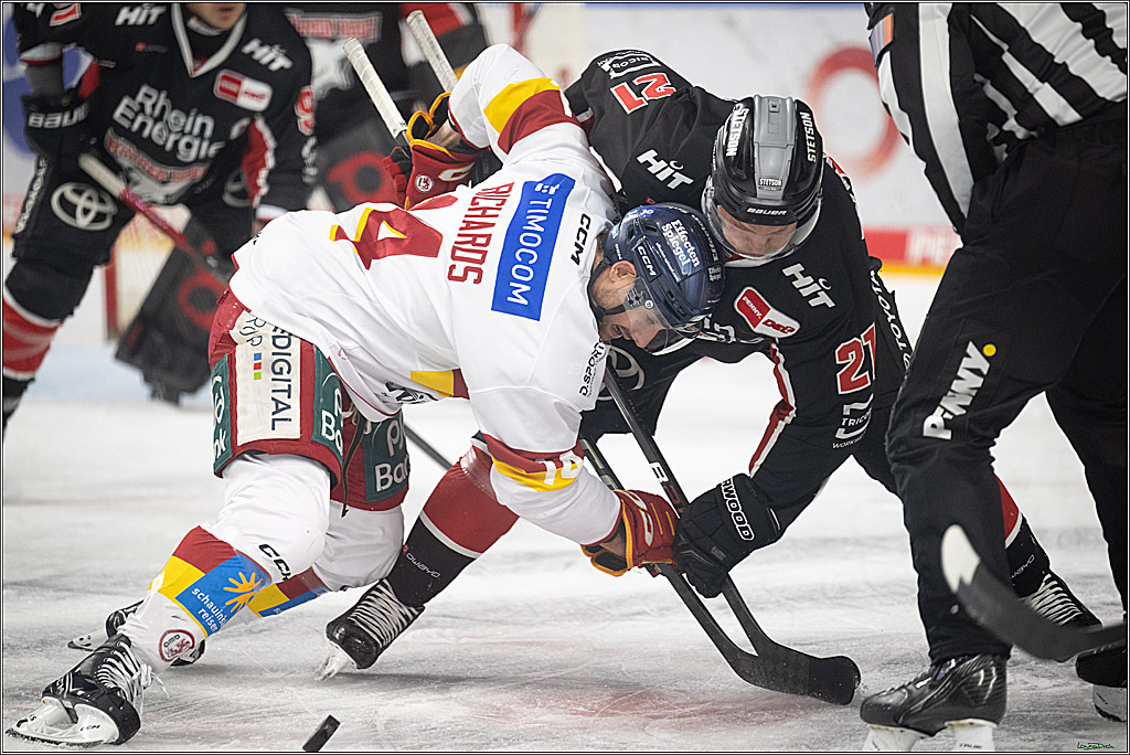 PENNY DEL; Koelner Haie-Duesseldorfer EG ; Koeln, 16.02.2025